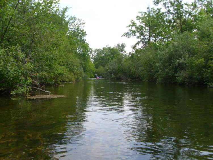 Shiawassee Tributary