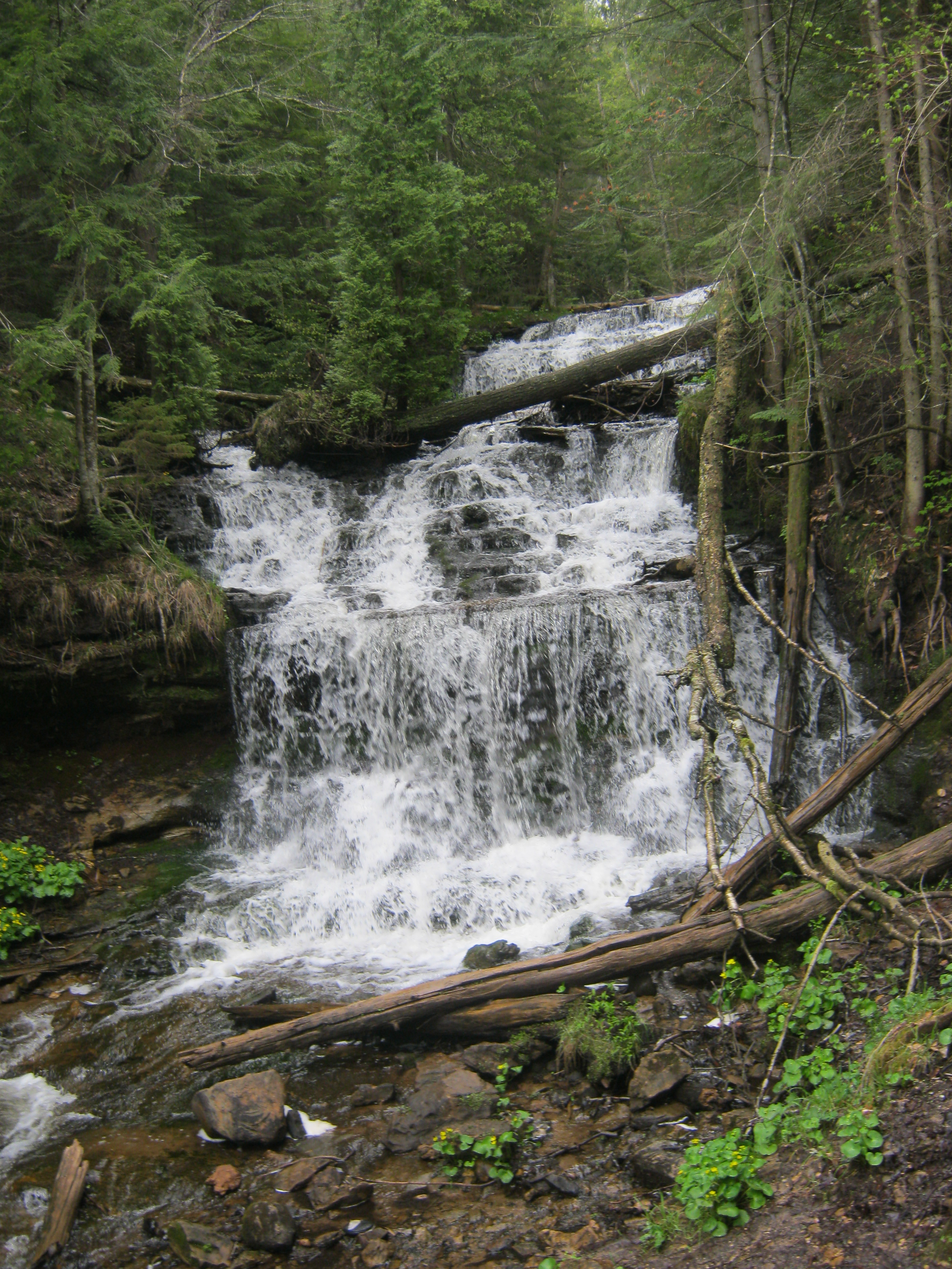 wagnerfalls4.JPG