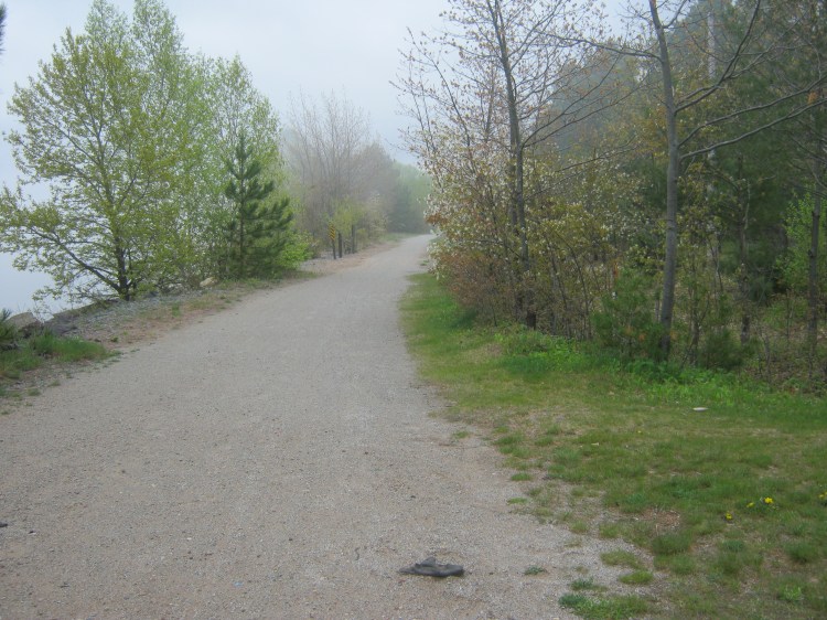 Trail8.JPG